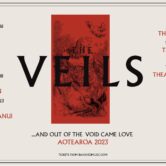 The Veils …And Out of The Void Came Love