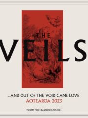 The Veils …And Out of The Void Came Love