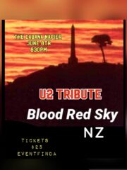BLOOD RED SKY. U2 Tribute.